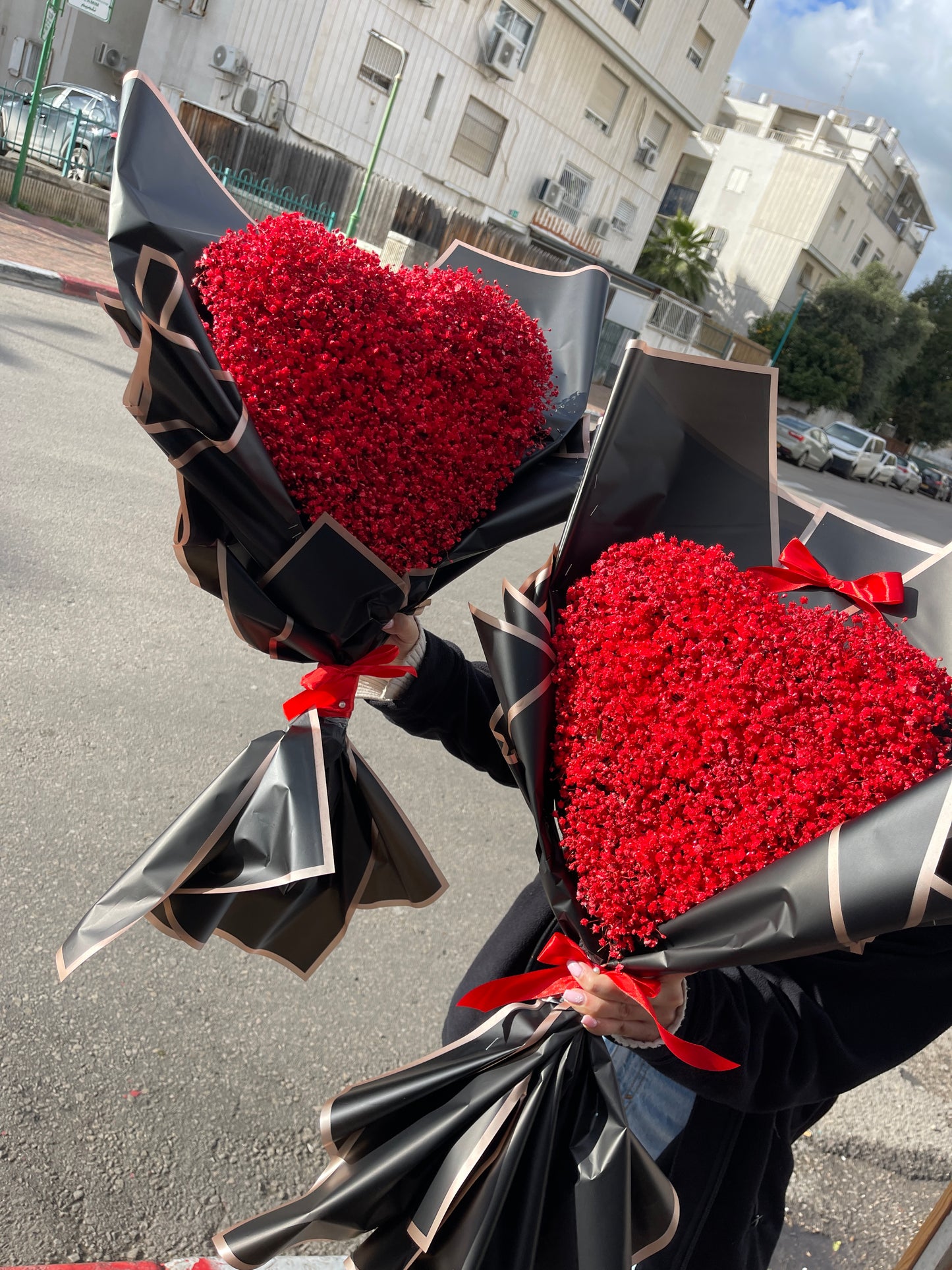 זר גיבסנית לב